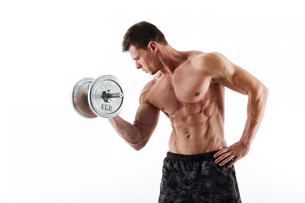 Muscle Gain Diet Plan Program